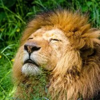 EveryoneSocial Employee David Dev's profile photo
