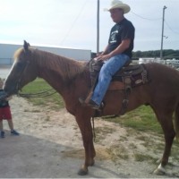 Greg Wheelen Email & Phone Number