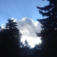 DriverSource, Inc. Employee Paul Gutterson's profile photo