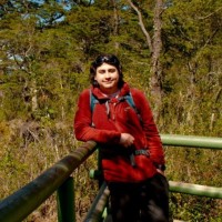 Fabián Gómez Antillanca's profile photo