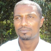 Weyessa Terefe Email