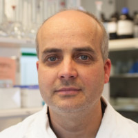 Greenpeace International Employee David Santillo's profile photo