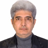 Loopico Employee Ali Shekouhi's profile photo