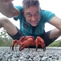 Michael Jansen Email