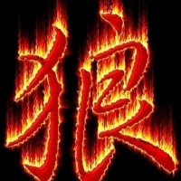 艾沙沙's profile photo
