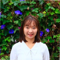 Yu Ming Charter School Employee Wenting Wang's profile photo