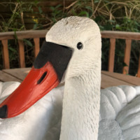 Knoops Employee John Egan's profile photo