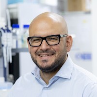 Pasquale Piccolo Email