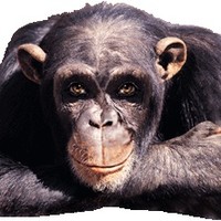 mag+ Employee Mina Akis's profile photo