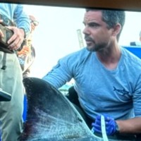 Daniel Madigan Email & Phone Number