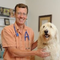 Henniker Veterinary Hospital Employee Robert Brust's profile photo