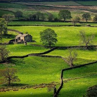 moblers Employee Waseem Massry's profile photo