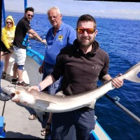 Snif-Snax Ltd. Employee Stuart Fountain's profile photo