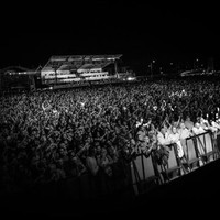 Cuffe & Taylor Employee Peter Taylor's profile photo