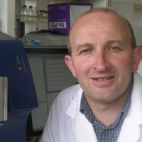 Steve Holroyd Email & Phone Number