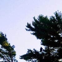 Uesco Industries, Inc. Employee Jonathan Moore's profile photo