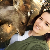SIEPER Group Employee Amber Sieper's profile photo
