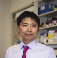 Lindonlight Collective Employee Ying Fu's profile photo