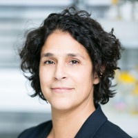 Toulouse White Biotechnology (TWB) Employee Fayza Daboussi's profile photo