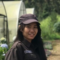 Chronicle Employee Wanda Kristiawati's profile photo