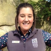 Jen Wilson Email
