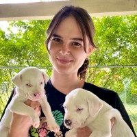 Maile Kuyper Email