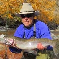 Office Environment Company Employee Tim Lodge's profile photo