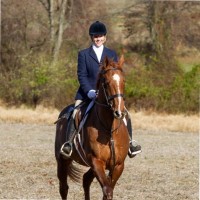 Megan Saberin Email & Phone Number