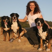 Sundog Interactive Employee Pamela Cosner's profile photo