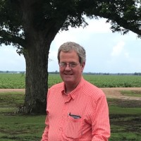 W.G. HAMIL | W.G. HAMIL WATERMELON & PRODUCE Employee Greg Hamil's profile photo