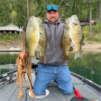 Nolan Bachelder Email & Phone Number