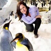 SeaWorld Parks & Resorts Orlando Employee Jennifer Olsen's profile photo