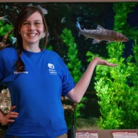 Great Lakes Aquarium Employee Hanna Padova's profile photo