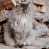 Aaron Thompson Email & Phone Number