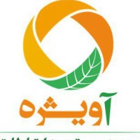 IT Company Employee Avije IT's profile photo