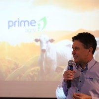 Wandislau Bruno Email