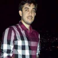 Elio Fiallo Email & Phone Number