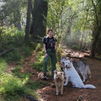 Veronica Powell Email & Phone Number