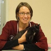 AskVet Employee Page Borger's profile photo