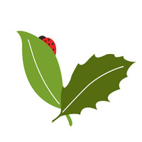 City of Havre de Grace Employee Jodie Shivery's profile photo