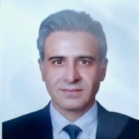 Babak Farshbaf Email & Phone Number
