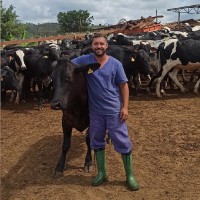 GEPEC Employee Moacir Junior's profile photo