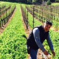 Seavey Vineyard Employee Ignacco Hernandez's profile photo