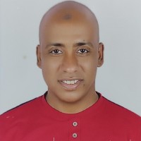 Bevatel Employee Hany Soliman's profile photo
