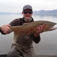 Bachem Employee Sean Willis's profile photo