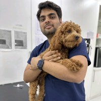Veterinary United Employee Aaditya Sharma's profile photo