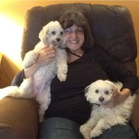 KC Wilson & Associates Employee Carol Zwaans's profile photo