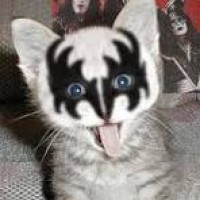 Verizon Employee Craig Dewitt's profile photo