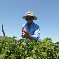 Algas Pacific Employee Rodolfo U.'s profile photo