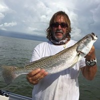 The Galveston County Daily News Employee David Dillman's profile photo